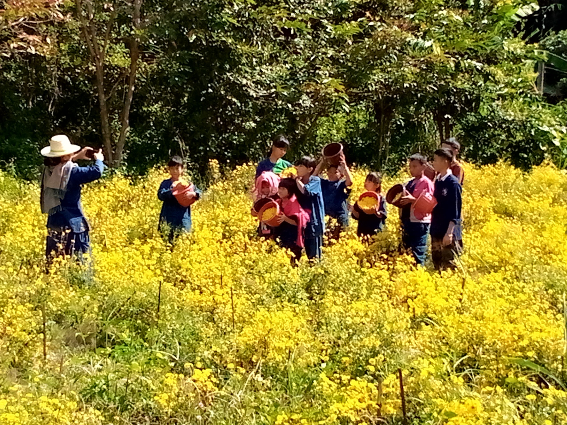 Herbs growing on the highland